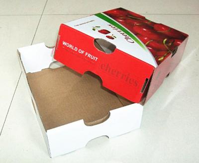 China custom corrugated paper fruit box for sale