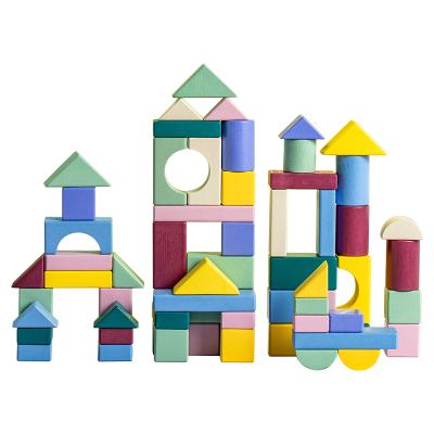 China Building Toy 81pieces Natural Solid Wooden Blocks Set Matching Developmental Toys Various Colors Grade Wooden Building Blocks For Toddlers for sale