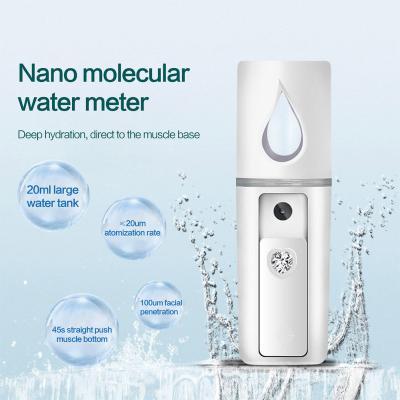 China Handy Mini DEEP CLEANSING Mist Delivery DP Portable Automatic Skin Care Steamer Mini Nano Facial Sprayer for sale