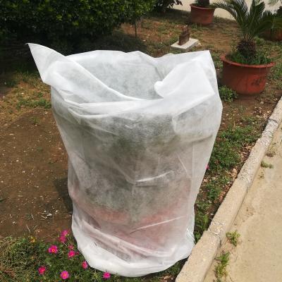 China Breathable frost and wind spunbond winter waterproof antifreeze fabric 30g pp nonwoven shrub covers for sale