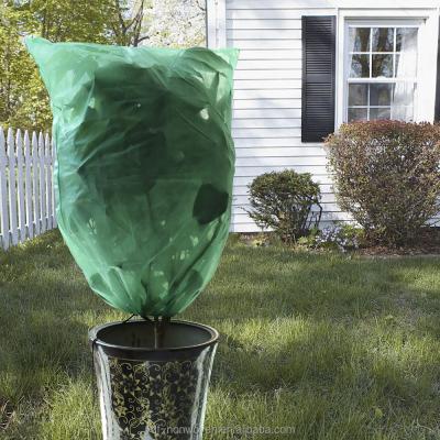 China Anti-bacteria Biodegradable Non-woven Fruit Bag Tree Protective Sleeve for sale