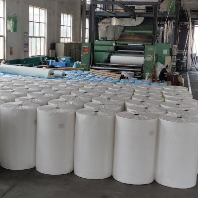 China High Quality Anti-bacteria S/SS/SSS PP Nonwoven Fabric With Low Price TNT Roll for sale