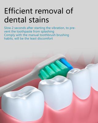 중국 성인 DC3.7V 300g 283x60x60mm USB 재충전이 가능한 칫솔 판매용