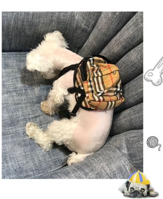 China Travel Pet Backpack Fashion Pet Supplies Dog Control Backpack With Rope Pet Outing Backpack for sale