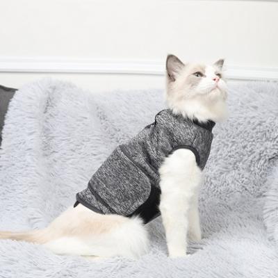 China Sustainable Pet Clothes Winter Warm Custom Hoodie Fashion Luxury Designers Cat Clothes for sale