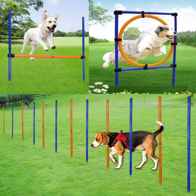 China Viable Outdoor Pet Jump Training Dog Tunnel Jump Obstacle Dog Agility Perfamence Training Equipment For Dog for sale