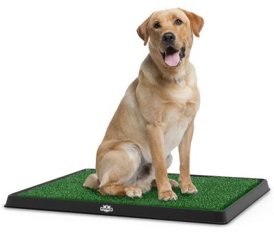 China Viable Absorbent Grass Mat Amazon Basics Dog Pet Training Potty Trainer Toilet Puppy Pet Training Pads for sale