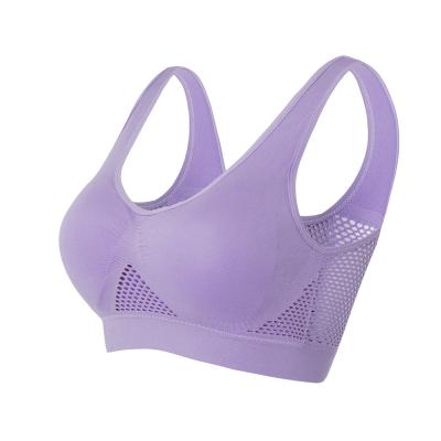 China Sports Bra Women Yoga Underwear Padded Crop Tops Yoga Vest Gym Yoga Vest Sports Underwear Sports Bra Top Breathable Fitness Working Type for sale