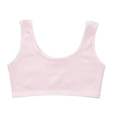 China Summer QUICK DRY thin underwear coed tank top solid color cotton comfortable elastic wide bra for sale