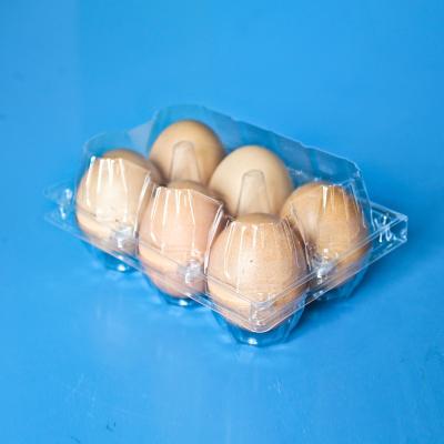 China Eco - Friendly Tray China Accept Customization Transparent Quail Egg Packaging Plastic Egg for sale