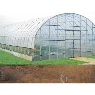 China Multi Span Vegetable PE Film Good Quality Flowers Fruit And Agricultural Greenhouse Easily Installed for sale