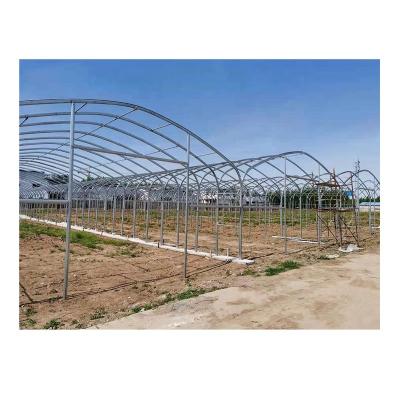 China Vegetable Fruit Flowers Low Cost Tunnel Greenhouse For Plants Single Span PE Film Greenhouse For Agriculture for sale