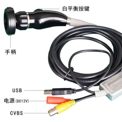 China 2*F1AL AC250V Economic Portable Endoscope USB Medical Camera for sale