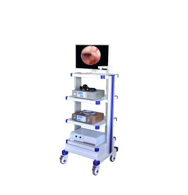 China LED Display Screen HD ENDOSCOPY CAMERA SYSTEM for sale