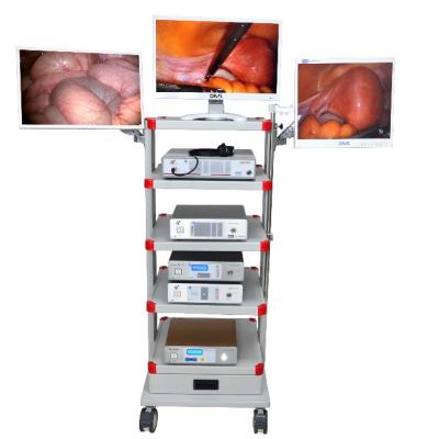 China Veterinary FHD 1080P Laparoscopy Endoscopy Camera Tower for Laparoscopy Arthroscopy Urology for sale