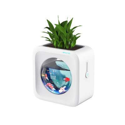 China Patent Design Mini Desk Aquarium Water Grass Tank Viable Aquarium With 2w RGB Led Lighting Fish Tank for sale