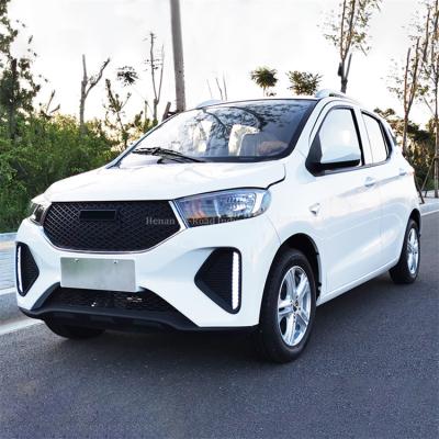 China Passenger Car.New Energy Electric Car Customized New Energy Global Left Right Universal Electric Solar Vehicle Rudder Cheap USA Vehicle Car for sale