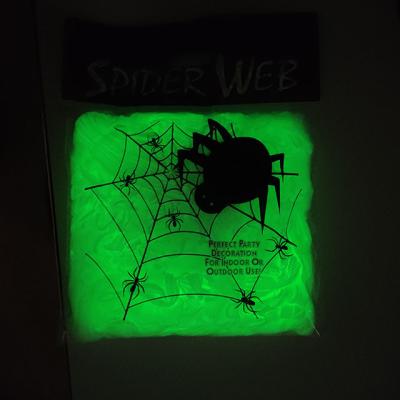 China Terrorist Halloween fluorescent spider web indoor and outdoor ghosts in the dark spider web decoration for Halloween for sale