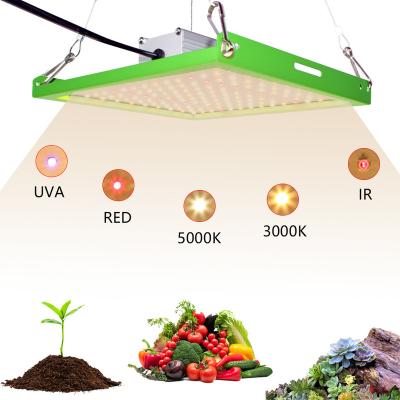 China Seed Starting Newest LED Grow Light Full Spectrum 50W Samsung LM281B LED Chip To Grow Light For Indoor Plants Seedling Flower for sale