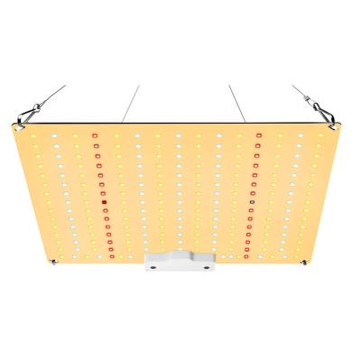 China Seed Seed Growing 2022 Newest 65W Full Spectrum LED Plant Grow Light Samsung LM281B IR 65W Quantum UV Grow Light For Indoor Greenhouse for sale