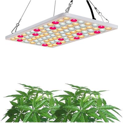 China Seed starting newest LED grow light 60W Samsung lm281b 2.5 umol/J replace 600W indoor full spectrum LED grow light for plants à venda