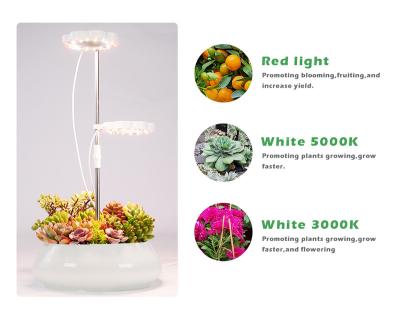 China Starting From Seed Lower Price 10W Full Spectrum To Growing Light 3000k 5000k 660nm Red Led USB 10W LED Grow Light For Office Plants en venta