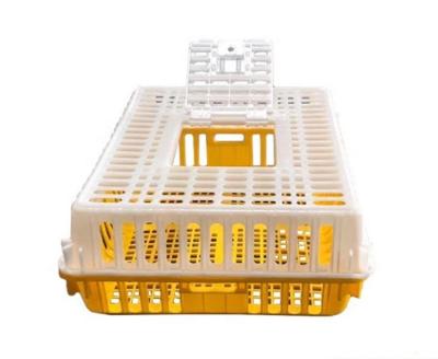 China 2021 Hot Selling Live Chicken Transport Cage Plastic Transport Crate for sale