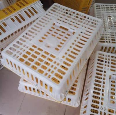 China Hot Selling Plastic Transport Chicken Chicken Delivery Crate For Chicken Transport for sale