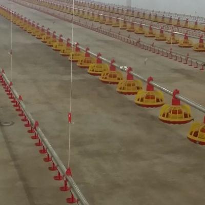 China Farms Automatic Poultry Keeping System For Broiler Farm House Ground Floor Feeding Equipment for sale