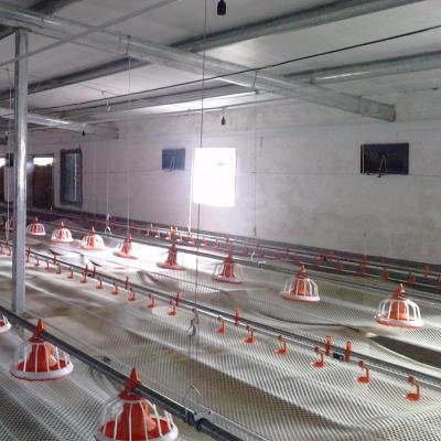 China Automatic Farms Poultry Feeding And Drinking System For Farm Broiler House Ground Floor Keeping Equipment for sale