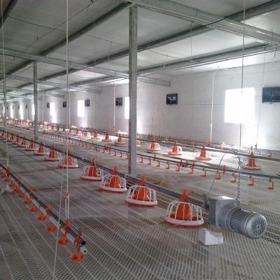 China Farms Broliler Automatic Pan Feed System for Poultry Chicken Farm House Ground Floor Feeding Line China Price for sale