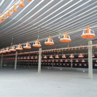 China Farms Chicken Poultry Farm Equipment For Broiler House Automatic Floor Ground Pan Feeding System for sale