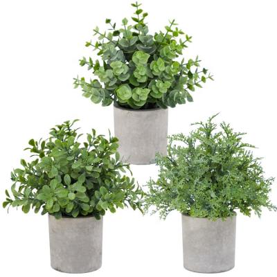 China Top Selling Eco-Friendly Plastic Faux Green Eucalyptups Plant 3 Set For Home Decor Mini Pulp Potted Artificial Plants for sale