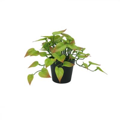 China Good Quality 3 Pcs Mini Plastic Plants Small Greenery Eco-friendly Faux Grass Decorative Artificial Potted Plants for sale