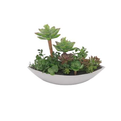 China High Quality Plastic Potted Artificial Succulent Decorative Plants Bonsai Plants Artificial Plants Home Office Eco-Friendly for sale