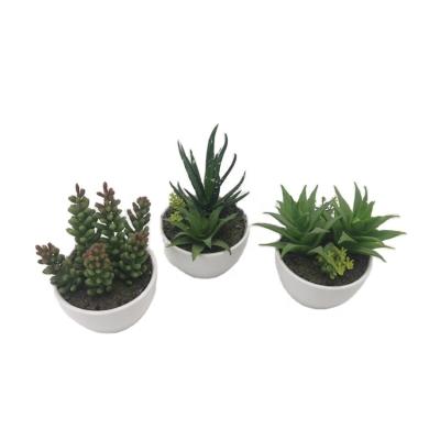 China Eco-friendly Artificial Plants Mini Potted Plastic Succulent Planta Artificial Succulent Planta From China Manufacturer Real Contact for sale