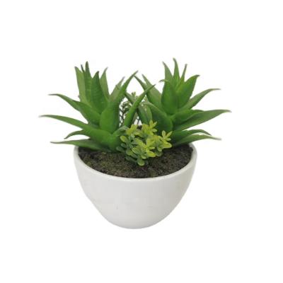 China Hot Sale Korea Small Potted Artificial Succulent Plants Bonsai High Simulation Eco - Friendly Artificial Plastic Succulent Plants for sale