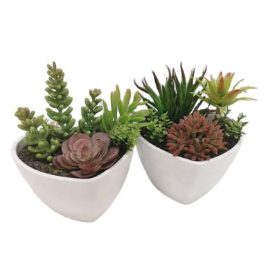 China Wholesale Plastic Succulent Desktop Decoration Bonsai Artificial Succulent Plants Eco-friendly Garden Potted In White Plastic Pot for sale