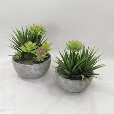 China Eco-friendly High Simulation Plastic Succulent Plants Home Small Decorative Artificial Succulent Bonsai In Paper Pulp Pot for sale