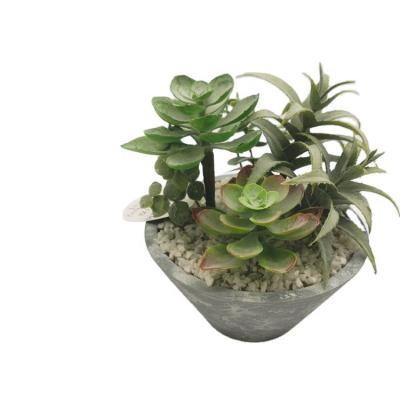 China High Simulation Plastic Cactus Office Home Table Eco-friendly Decorative Artificial Planta In Paper Pulp Pot for sale