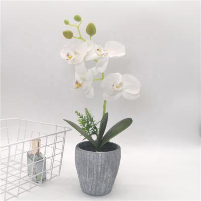 China China Factories Eco-friendly Artificial Manufacturer Decorative Orchid Flowers in Pulp Pot Garden Decor Artificial Phalaenopsis Orchid for sale