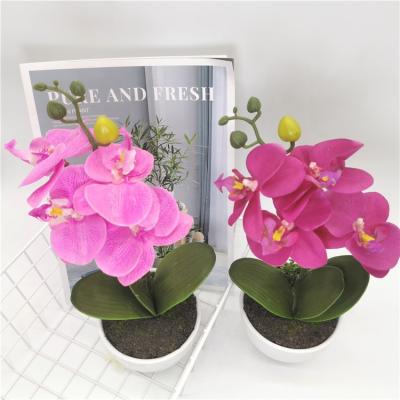 China Hot Sale Eco-friendly Plastic Bonsai Home Decoration Faux Flower Artificial Flower White Ceramic Potted Silk Plant for sale