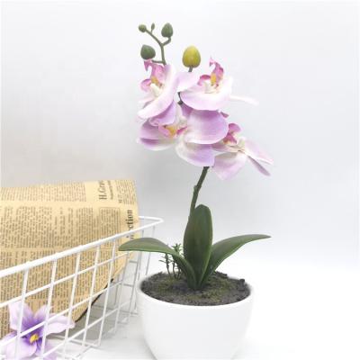 China Real Touch Orchid Flower Artificial Phalaenopsis Orchid Home Decor Decorative Potted Table Eco-friendly Silk Ceramic for sale