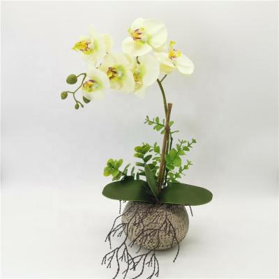 China Eco-friendly Popular Artificial Plants Silk Flower Phalaenopsis Orchid With Pulp Potted Artificial Orchid Wedding Home Decor Plants for sale