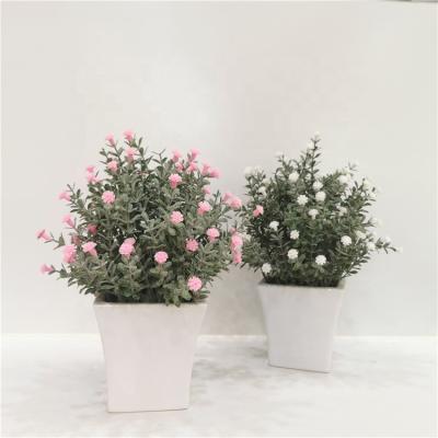 China Eco-friendly Garden Decorative Artificial Plants Real Touch Artificial Flower Bonsai With White Ceramic Pot for sale