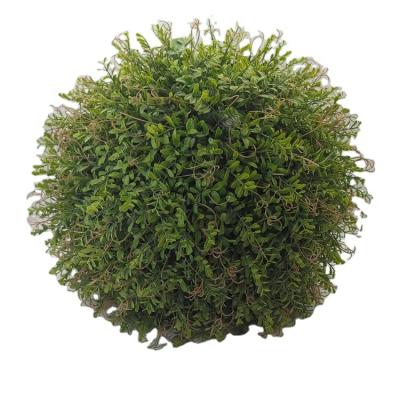 China New Design Eco-friendly Round Artificial Natural High Simulation Grass Plant Indoor Artificial Grass Ball for sale