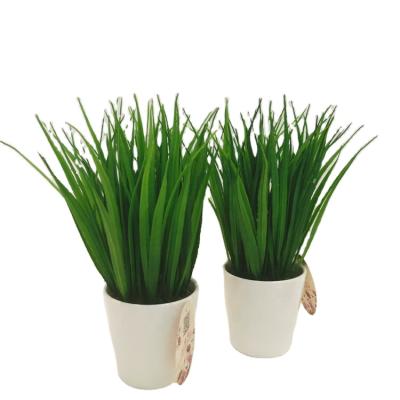 China Eco - Friendly Wholesale Home Decoration Artificial Shrubs Grass Plants Pots for sale