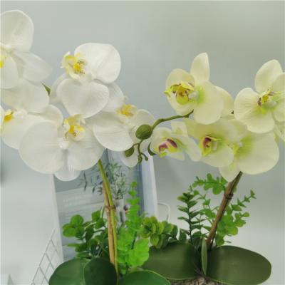 China High Simulation Eco-friendly Artificial Silk Orchid Flowers Phalaenopsis Plant China Potted Plants For Wedding Decoration for sale