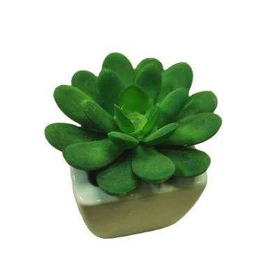 China Home Office Table Decoration Amazon Hot Seller Artificial Succulents in Ceramic Pot Mini Fake Succulent Plants for Bedroom Office Decor for sale