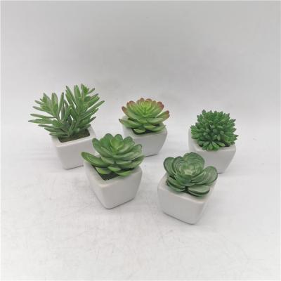 China Europe Artificial Succulent Plants Matched Decorative Faux Succulent Potted Plastic Cactus With Ceramic Pots For Office Decor for sale